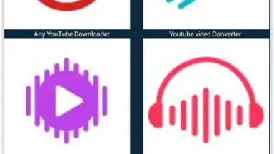 Capture d'écran de Any Video Downloader 1
