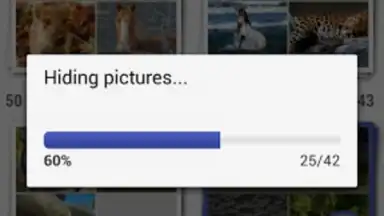 Capture d'écran de Gallery Plus - Hide Pictures 1