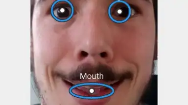 Capture d'écran de FaceSwap 3