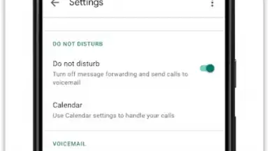 Capture d'écran de Google Voice 1