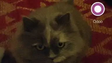 Capture d'écran de Transparent Screen & Live Wallpaper 4