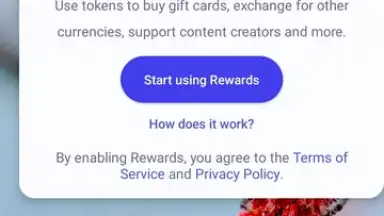 Capture d'écran de Brave Browser 3