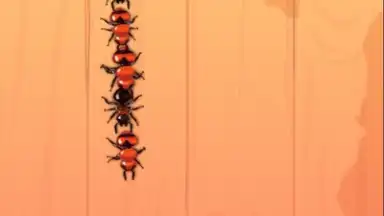 Capture d'écran de Ant Smash Game 4