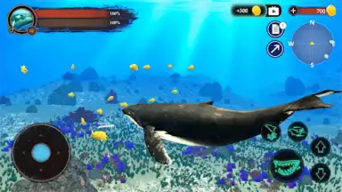Capture d'écran de The Humpback Whales 15