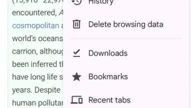 Capture d'écran de Chrome Beta 1