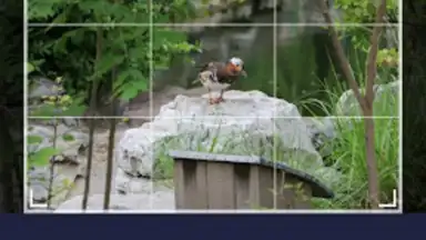 Capture d'écran de Smart Gallery - Photo Manager 4