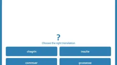 Capture d'écran de Reverso Translation Dictionary 18