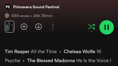Capture d'écran de Spotify 29