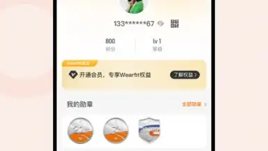 Capture d'écran de Wearfit Pro 5
