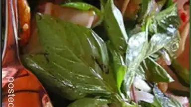 Capture d'écran de ThaiFood 8