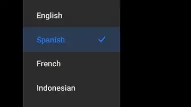 Capture d'écran de Mi AI Translate 5