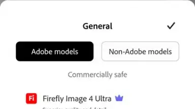 Capture d'écran de Adobe Firefly 5