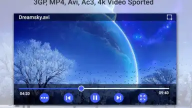 Capture d'écran de 3GP MP4 AVI Video Player 4