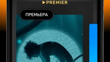 Capture d'écran de PREMIER 13