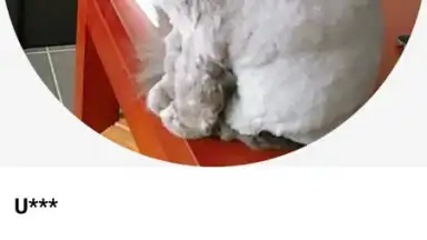 Capture d'écran de Rela 3