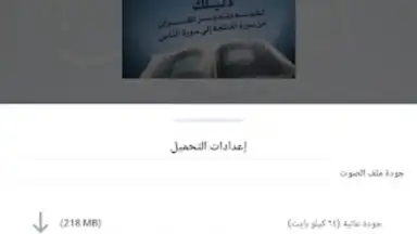 Capture d'écran de منطوق - كتب صوتية 18