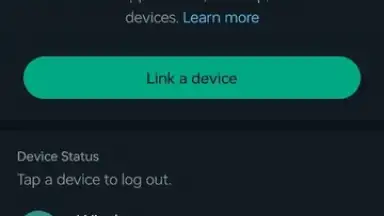 Capture d'écran de WhatsApp Messenger 31