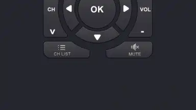 Capture d'écran de Remote Control for TV 1