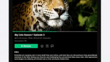 Capture d'écran de VidHub 16
