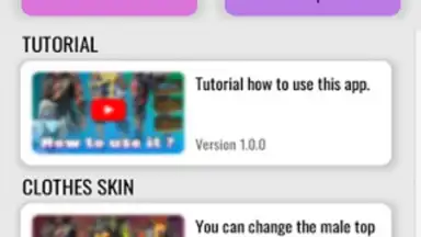 Capture d'écran de Skin Tools Config Pro 4
