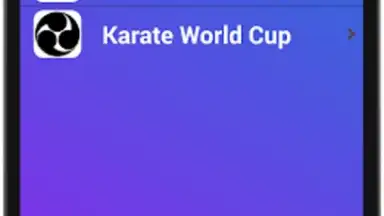 Capture d'écran de Karate Training 4