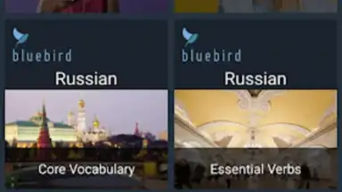 Capture d'écran de Bluebird Russian 8