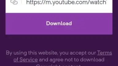 Capture d'écran de YouTube Video Downloader 1