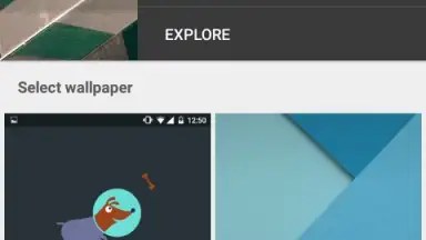 Capture d'écran de Google Wallpapers 5