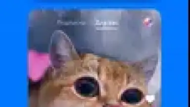 Capture d'écran de VK Clips 2