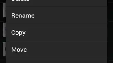 Capture d'écran de WebDAV Nav Lite 1