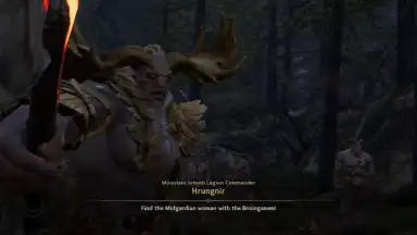 Capture d'écran de Legend of Ymir (KR) 3