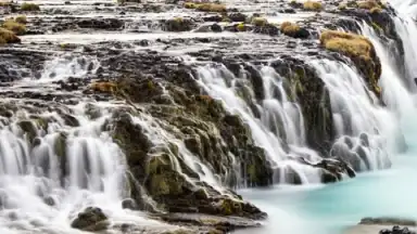 Capture d'écran de Google Wallpapers 3