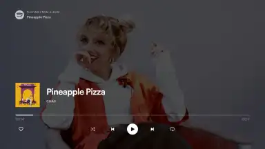Capture d'écran de Spotify for Android TV 1