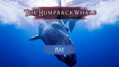 Capture d'écran de The Humpback Whales 9