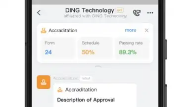 Capture d'écran de DingTalk 2
