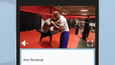 Capture d'écran de Ultimate MMA Fighting Program 4