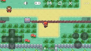 Capture d'écran de Pokemon Collection 1