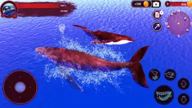 Capture d'écran de The Humpback Whales 6