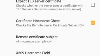 Capture d'écran de OpenVPN 19