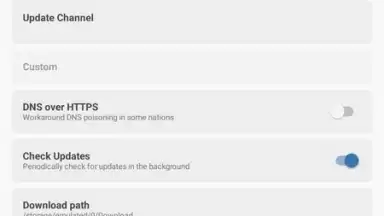 Capture d'écran de Magisk Manager 11