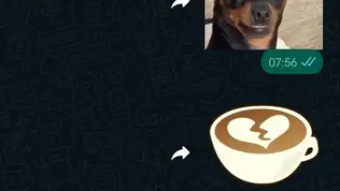 Capture d'écran de WhatsApp Messenger 12