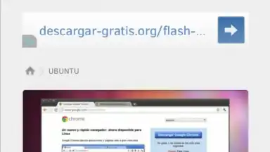 Capture d'écran de FlashFox - Flash Browser 2