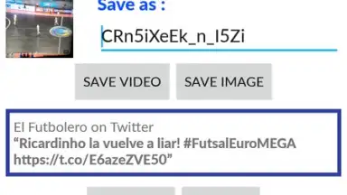 Capture d'écran de Video Downloader for Twitter 5