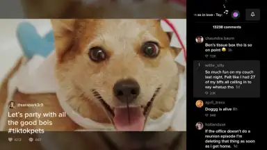 Capture d'écran de TikTok for Android TV 3