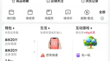 Capture d'écran de Jingdong 7