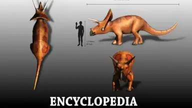 Capture d'écran de Dinopedia 4