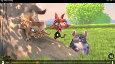 Capture d'écran de VLC 6