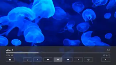 Capture d'écran de Media Station X 3