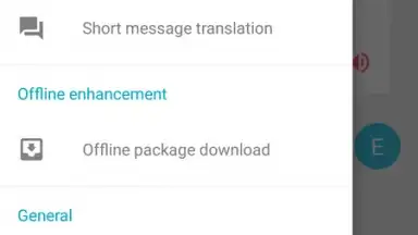 Capture d'écran de Youdao Translate 1