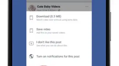 Capture d'écran de Video Downloader For Facebook 12